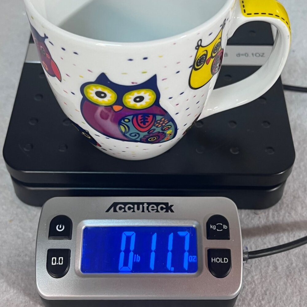 Colorful Owl Fowl Birds Floral Porcelain Coffee Cup Mug By Konitz Germany 12 oz. - Picture 10 of 10